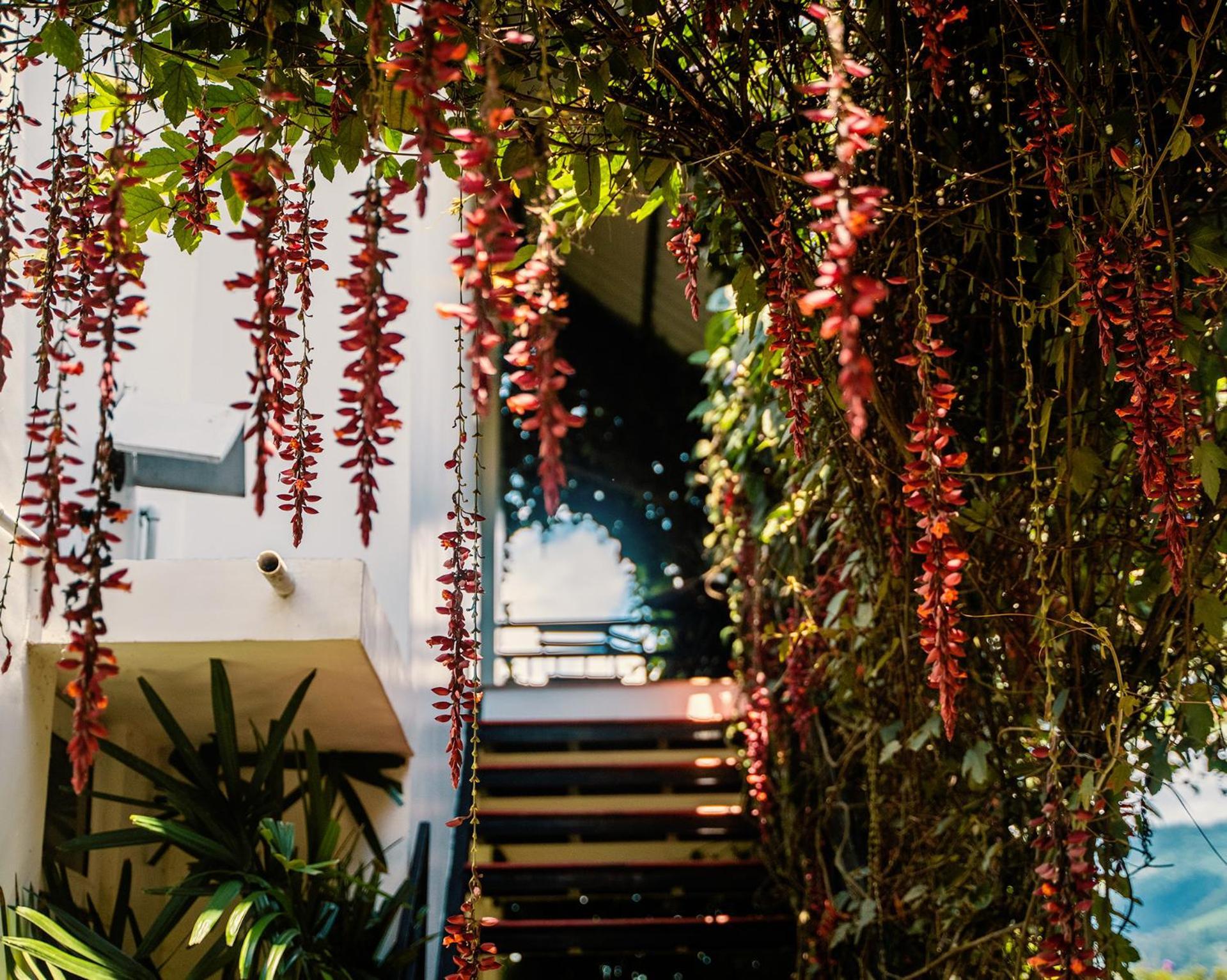 Hotel The Leaf Munnar Exteriér fotografie